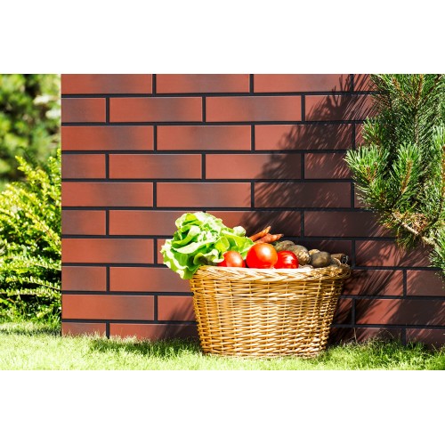 Клинкерная плитка Cerrad BURGUND (245х65)